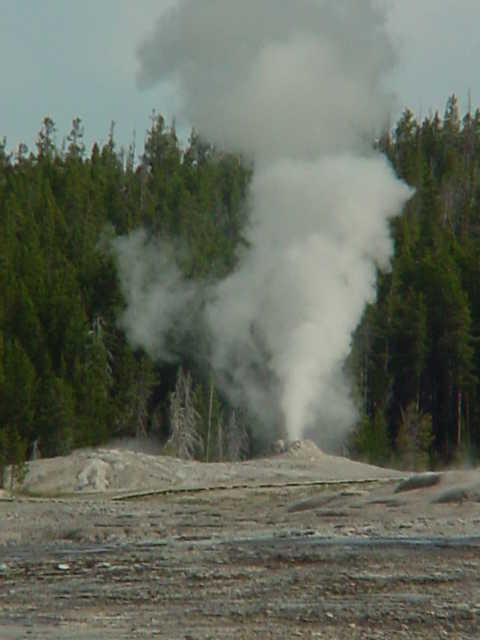 Picture of a geyser.