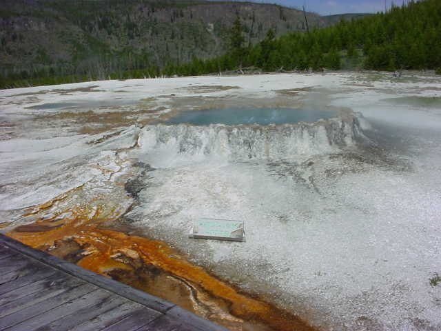 Picture of a raised pool.